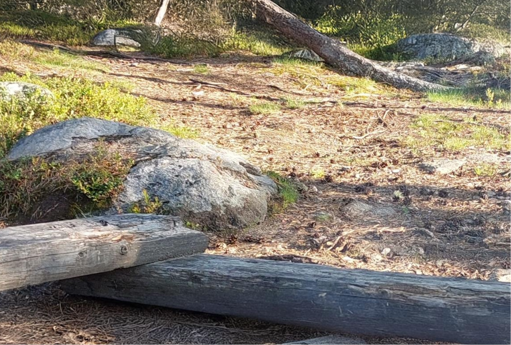 RISTEYKSESSÄ